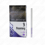 Blooming Violet ON 