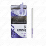 Blooming Violet ON 