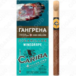 Cariba Winegrape - Виноград (4 шт.)