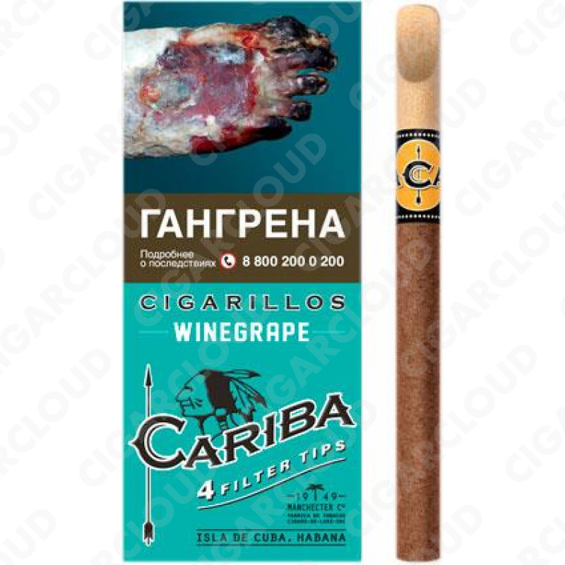 Cariba Winegrape - Виноград (4 шт.)