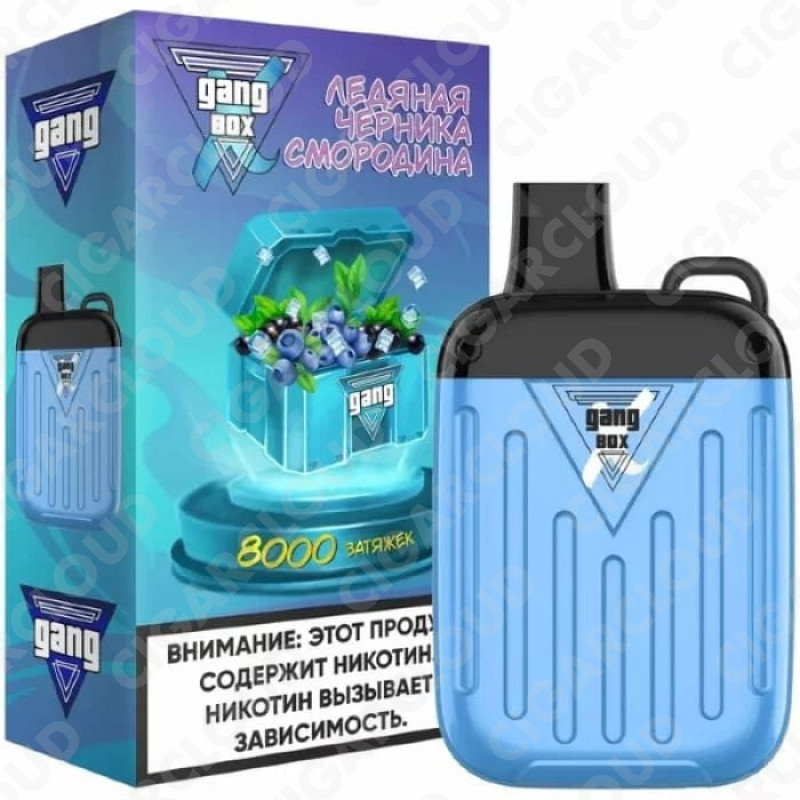 GANG X BOX 8000 Ледяная Черника со Смородиной
