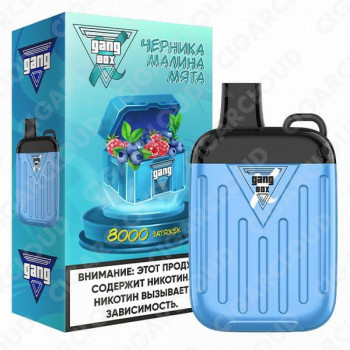 GANG X BOX 8000 Черника Малина Мята