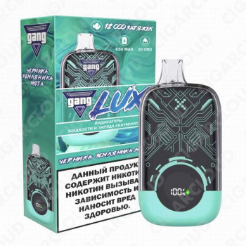 GANG Lux 12000 Черника Земляника Мята