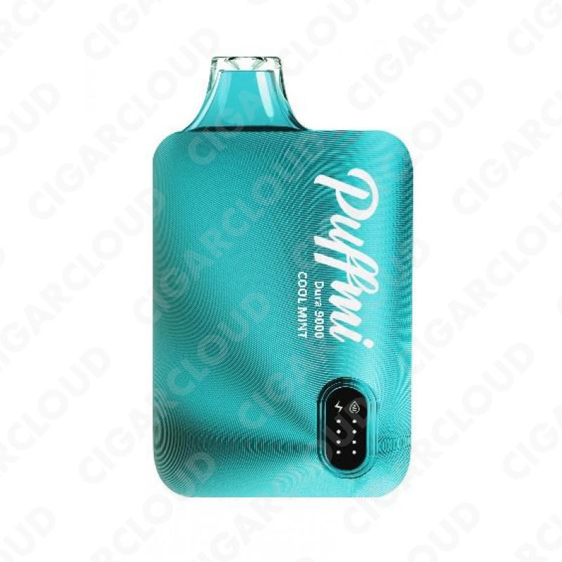 Puffmi Dura 9000 - Cool Mint