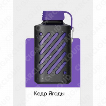 Vozol Gear 10000 Кедр Ягоды