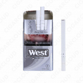 West Silver Up Compact