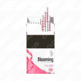 Blooming Pink ON