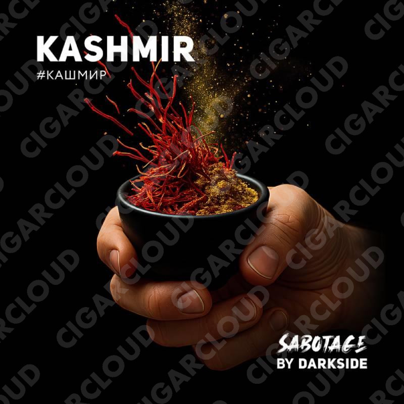 Darkside Sabotage - Кашмир