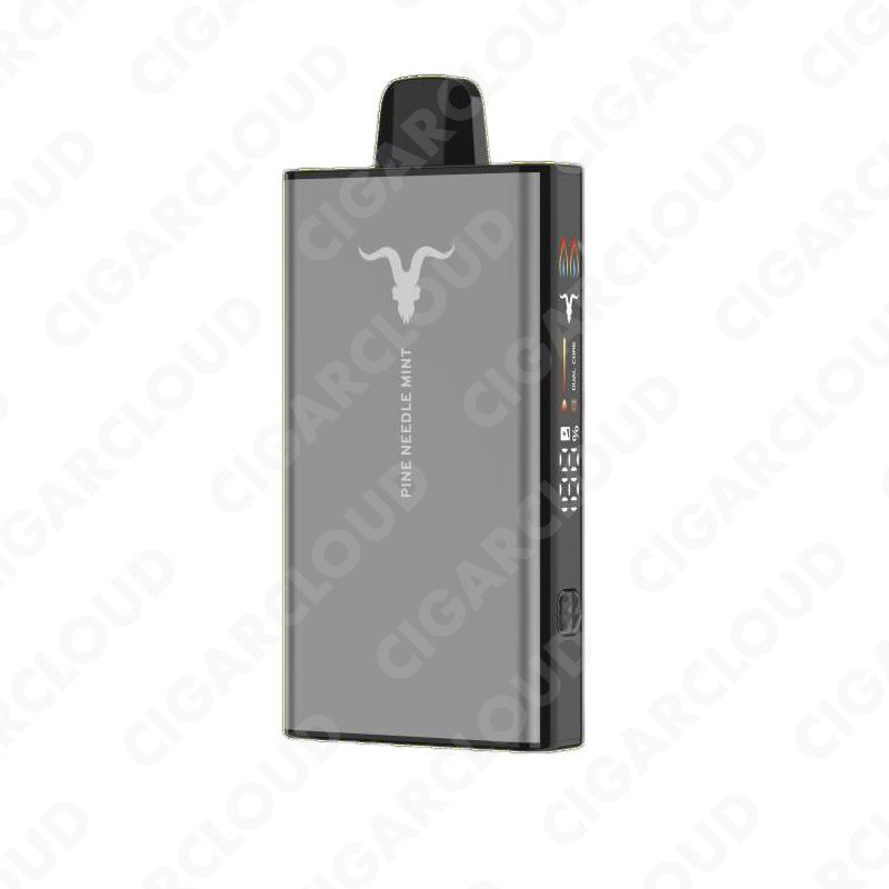 Ignite V40 Strong - Мята хвоя