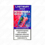 Lost Mary Mixer - Черника малина лёд