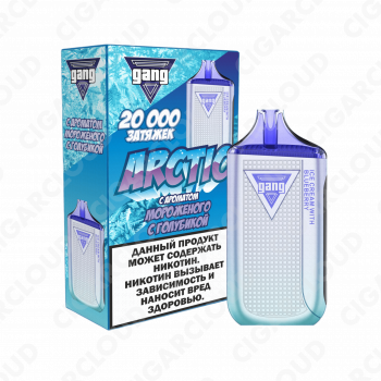 GANG ARCTIC 20000 Мороженое с голубикой 2%