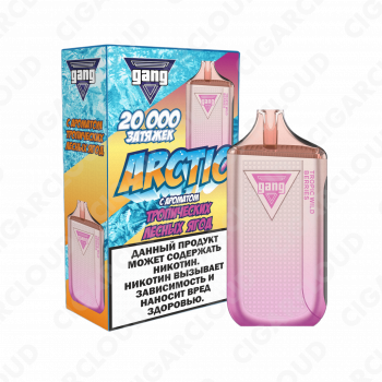 GANG ARCTIC 20000 Тропические лесные ягоды 2%