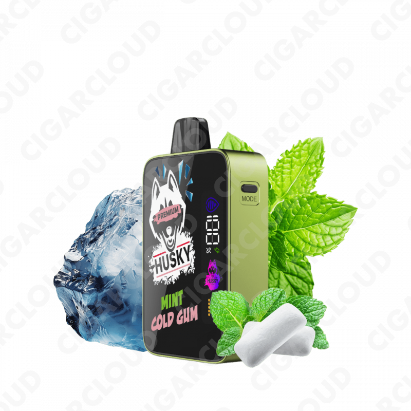 HUSKY PREMIUM MINT COLD GUM (Мятная жевательная резинка)