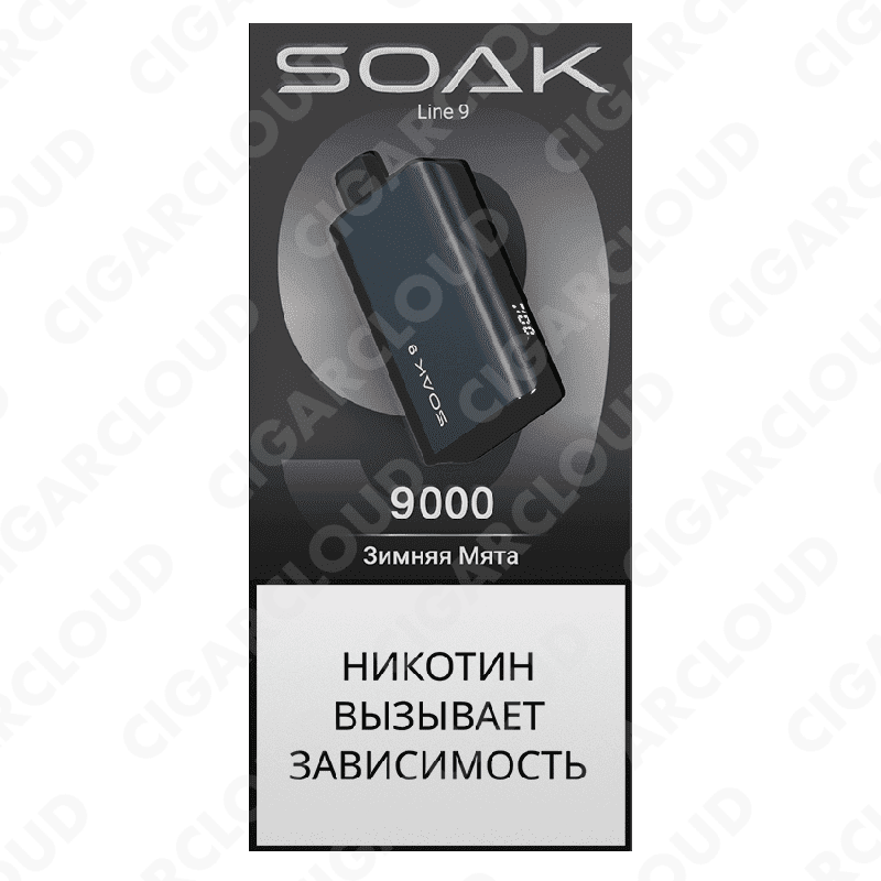 SOAK 9 Зимняя мята