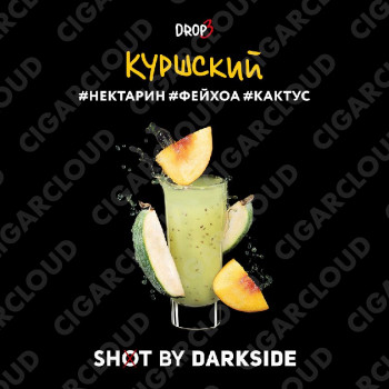 Darkside Shot - Куршский Вайб (Нектарин, фейхоа, кактус) 30 гр