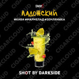 Darkside Shot - Ладожский Вайб (Киви, мармелад, земляника) 30 гр