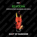 Darkside Shot - Ленский Трип (Лемонграсс, клюква, бузина) 30 гр