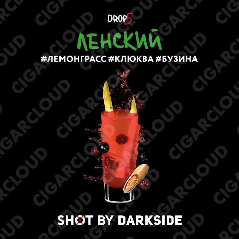 Darkside Shot - Ленский Трип (Лемонграсс, клюква, бузина) 30 гр