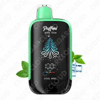 Puffmi Dura 18000 - Мята со льдом