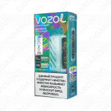 VOZOL Gear Power 20000 - Двойное яблоко лёд